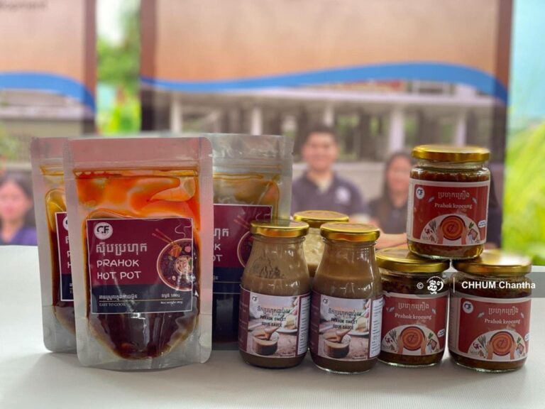 photo_6091241684726822552_y